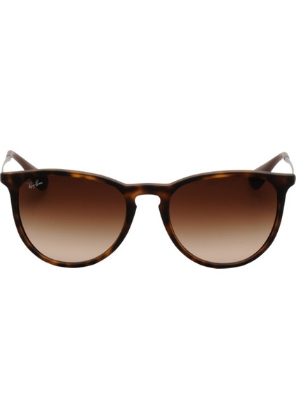 Rb 4171 865/13 54-18 Unisex Güneş Gözlüğü
