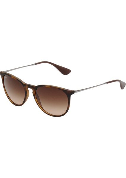 Rb 4171 865/13 54-18 Unisex Güneş Gözlüğü fiyatları