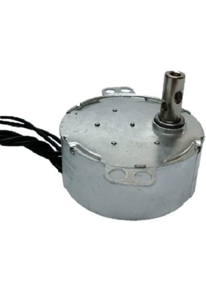 Elektrikli Şömine Motoru, Ac Senkron Motor TYC50 10 Rpm 4W, Viyol Motoru, TYC50 10RPM Cw/ccw