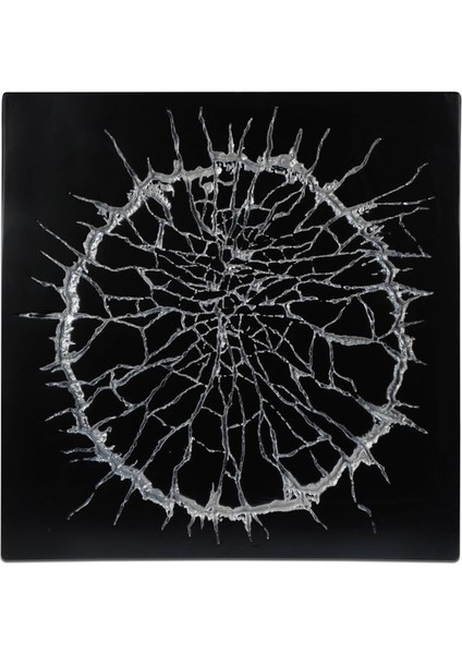 Lav Serisi Siyah Üzeri Beyaz Boyalı 3 Boyutlu Tablo fiyatları