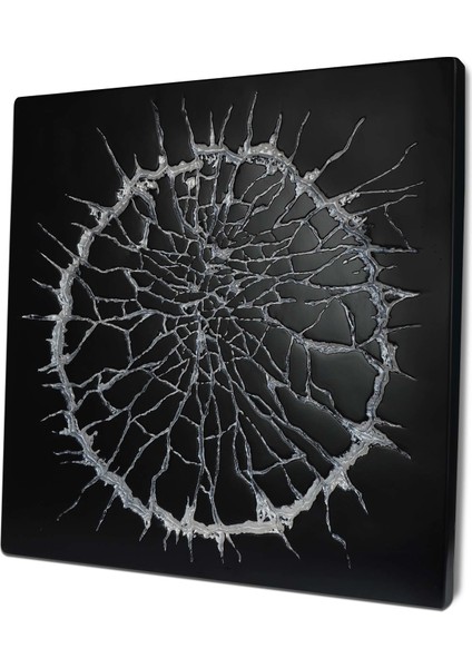 Lav Serisi Siyah Üzeri Beyaz Boyalı 3 Boyutlu Tablo modelleri