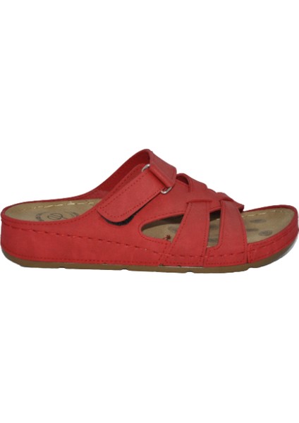 1802 Bayan Terlik fiyatları