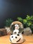 Panda Temalı Işıklı Müzikli Kar Küresi Orta Boy 1