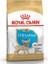 Chihuahua Puppy Irka Özel Yavru Köpek Maması 1,5 kg 1