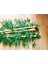 Bamboo Ağaç 5 Adet 1 Metre Boy Bambu Ağaç Çiçek 3