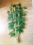 Bamboo Ağaç 5 Adet 1 Metre Boy Bambu Ağaç Çiçek 4