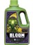 Bloom 3.79 Litre 1