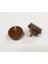 Sandalye Keçesi Pls. Taban 20 mm Vidalı Kahve 1