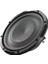 APS-10D 25CM Subwoofer 1