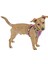 Small Dog Küçük Irk Köpek Tasması Pembe 17 - 23 cm XS 2