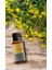 Sarı Kantaron Yağı (St John's Wort Oil), Soğuk Sıkım, %100 Saf ve Doğal, 20 ml 5