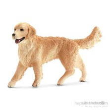 Golden Retriever Dişi