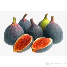 Plantistanbul İncir Fidanı, Dürdane Aşılı, Açık Kök