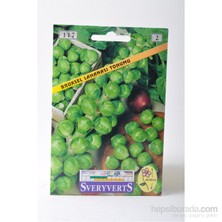 Sveryverts Brüksel Lahanası Tohumu