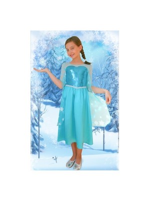 Disney Frozen Butik Kostüm 4-6 Yaş