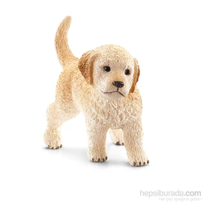 Golden Retriever  Yavru 16396