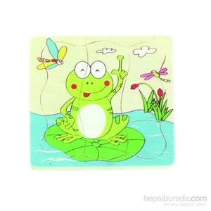 Kurbağa Gelişim Evreleri