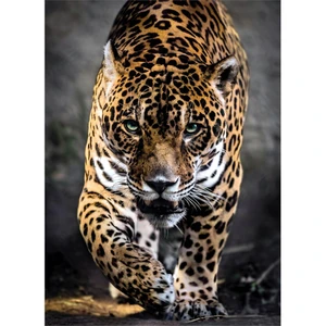 39326 - 1000 Parça Hqc Wildlife Puzzle