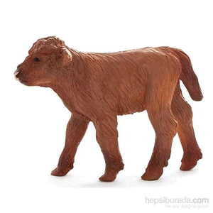 Animal Planet Highland Buzağısı Model Figür