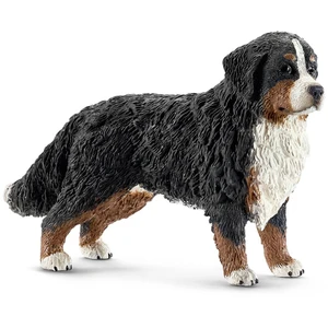 Bernese Dağ Köpeği, Dişi Figür