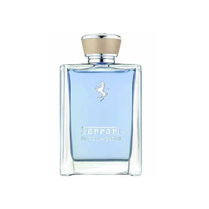 Pure Lavender Edt 100 Ml Erkek Parfüm