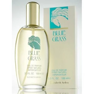 Elizabeth Arden Blue Grass Edp 100 Ml