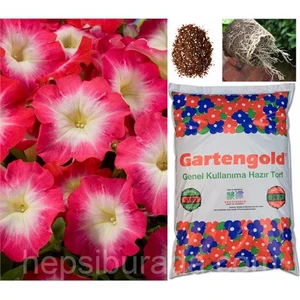 Genel Kullanım Organik Torf 20 Litre