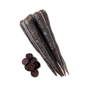 Havuç Tohumu Şalgamlık Siyah 25 Gr.