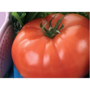 Domates İnvictus Tohumu(3 Gr)