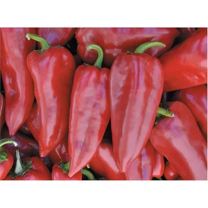 Biber Yağlık 28 Tohumu(10 Gr)