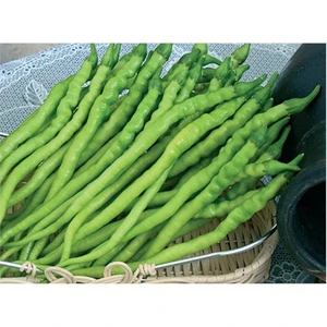 Biber Kıl Sivri Tatlı Tohumu(10 Gr)