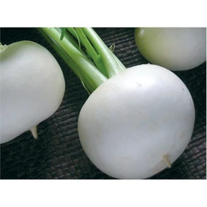 Turp Kestane Beyaz Tohumu(10 Gr)