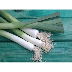 İnegöl Pırasa Tohumu (10 Gr)