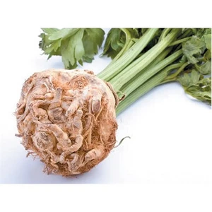 Kereviz Tohumu(10 Gr)