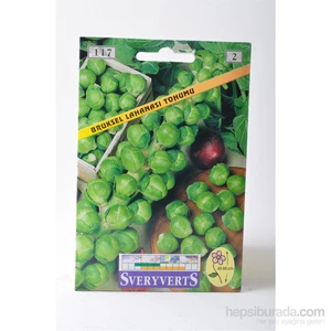 Brüksel Lahanası Tohumu