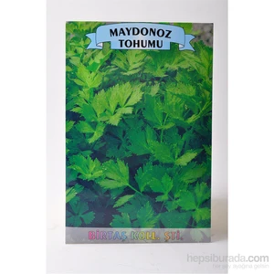Maydanoz (İri Yapraklı) Tohumu