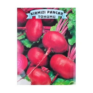 Kırmızı Pancar Tohumu