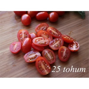 Saksılık Zeytin Cherry Domates 25+Tohum [Tohhum  Ev Bahçe]