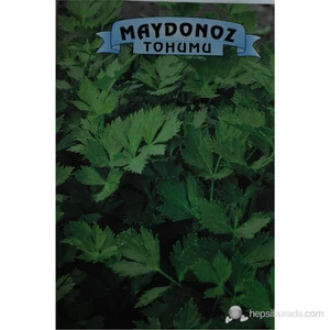 Maydanoz Normal