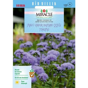 Miracle Tohum Ageratum Mexicanum Mavi Vapur Dumanı Çiçeği Tohumu (1000 Tohum)