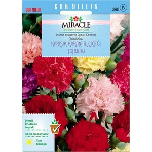 Miracle Tohum Chabaud Mixed Karışık Renkli Karanfil Çiçeği Tohumu (190 Tohum)
