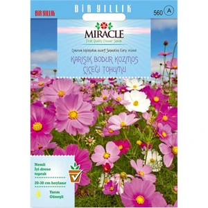 Miracle Tohum Karışık Renkli Bodur Cosmos (Kozmos) Çiçeği Tohumu(50 Tohum)