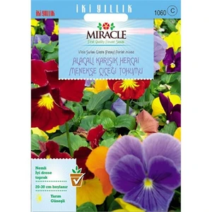 Miracle Tohum Swiss Giant Alacalı Karışık Hercai Menekşe Çiçeği (300 Tohum)