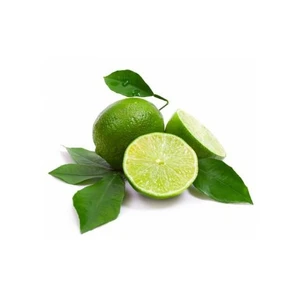 Narenciye Limon Lime Aşılı, Tüplü, +120Cm