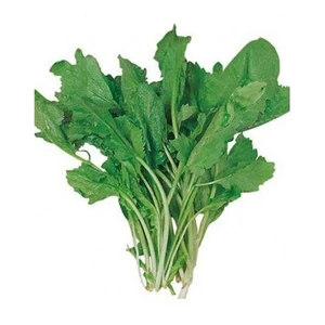 Tere Geniş Yaprak Tohumu Paket 25 Gr.