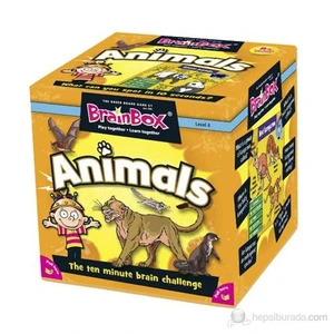 BrainBox Hayvanlar (Animals) İngilizce Kelime Öğrenme