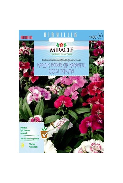 Miracle Tohum Karışık Renkli Bodur Çin Karanfili Çiçeği Tohumu (450 Tohum)