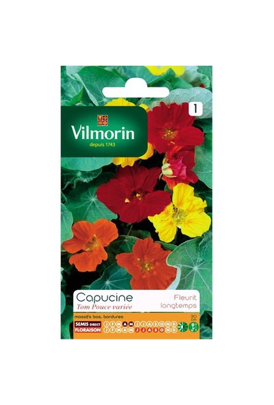 Vilmorin Karışık Renkli Latin Çiçeği Çiçek Tohumu
