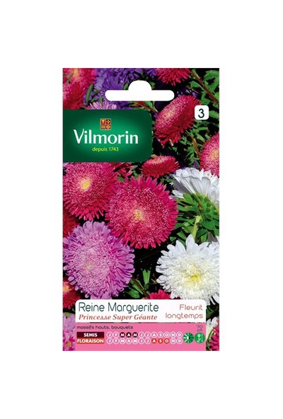 Vilmorin Aster Margarit Papatya - Yıldız Çiçeği (Prenses) Çiçek Tohumu