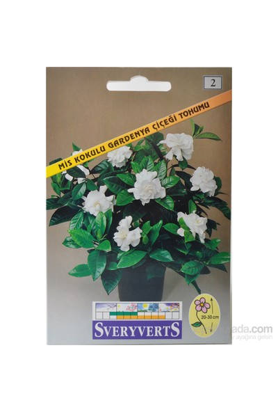 Sveryverts Mis Kokulu Gardenya Çiçeği Tohumu